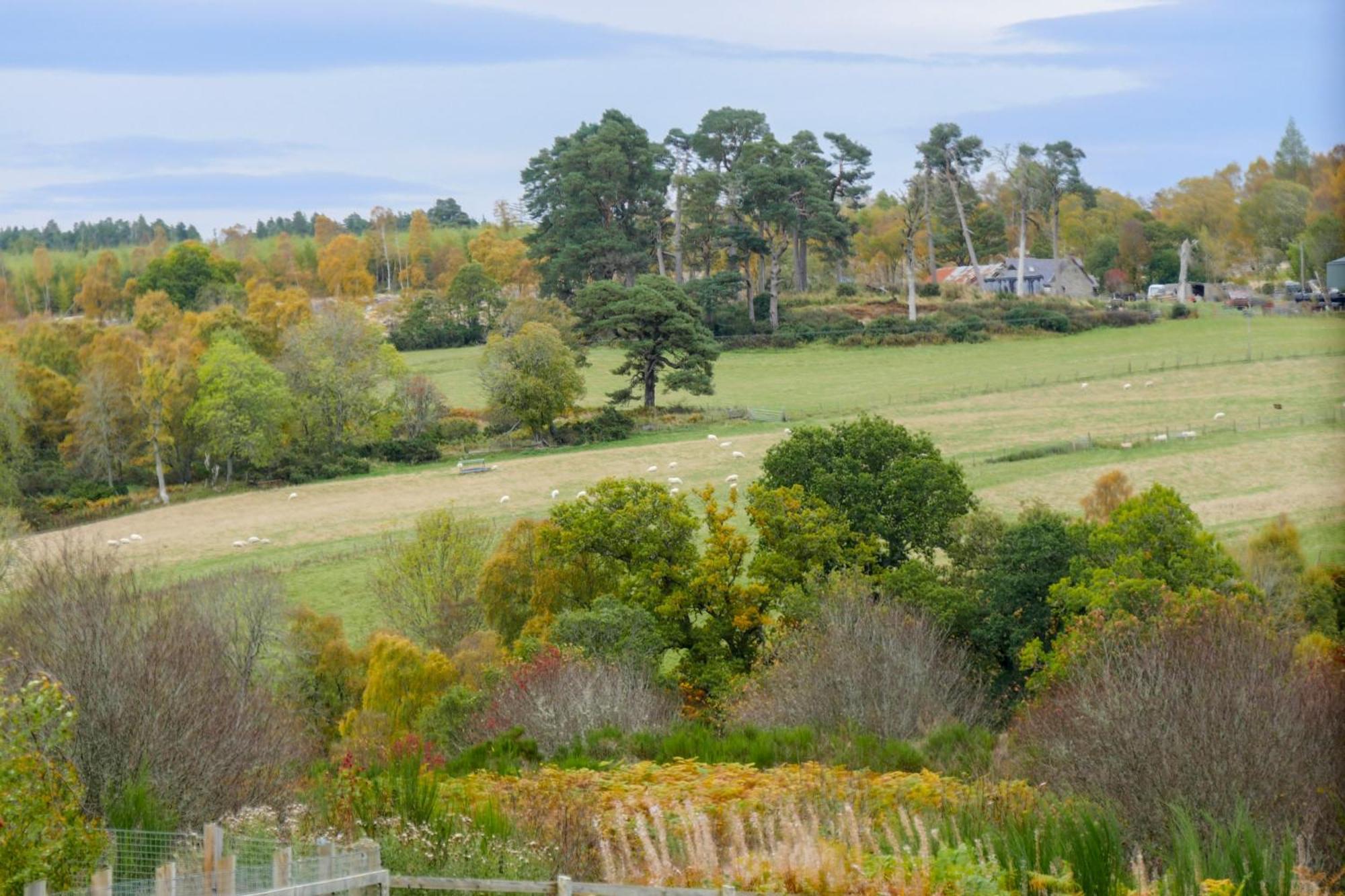 Glenview Chalet Park Inverness Luaran gambar